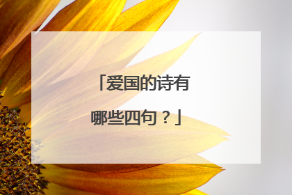 爱国的诗有哪些四句？