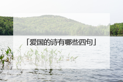 爱国的诗有哪些四句