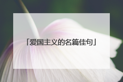 爱国主义的名篇佳句
