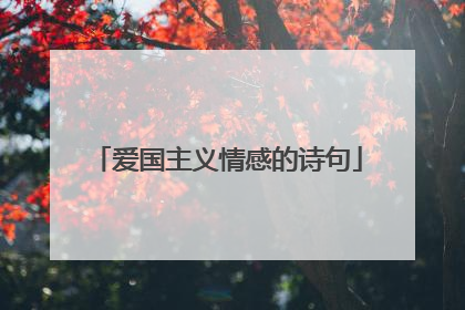 爱国主义情感的诗句