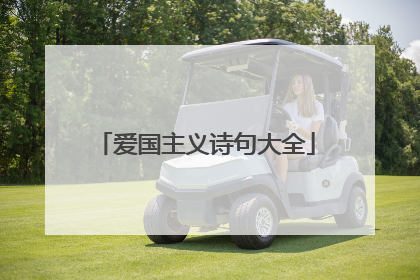 爱国主义诗句大全