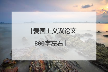 爱国主义议论文800字左右
