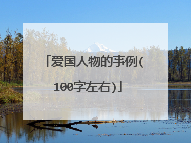 爱国人物的事例(100字左右)