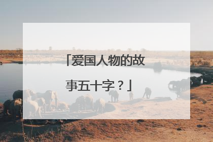 爱国人物的故事五十字?