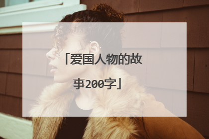 爱国人物的故事200字