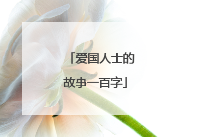 爱国人士的故事一百字