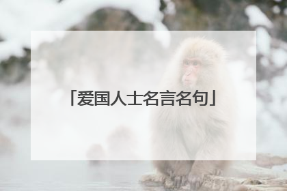 爱国人士名言名句