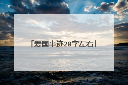 爱国事迹20字左右