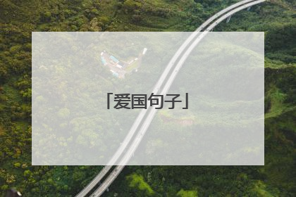 爱国句子