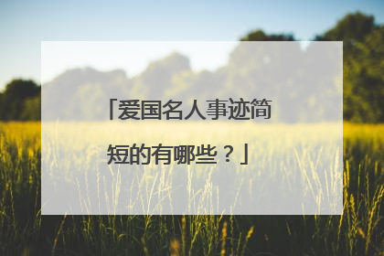 爱国名人事迹简短的有哪些？