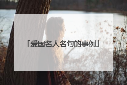 爱国名人名句的事例