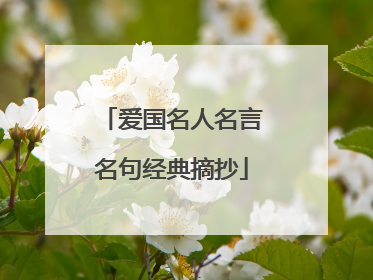 爱国名人名言名句经典摘抄