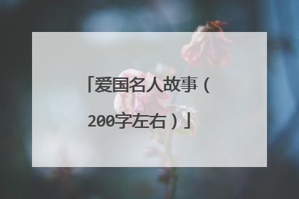 爱国名人故事（200字左右）