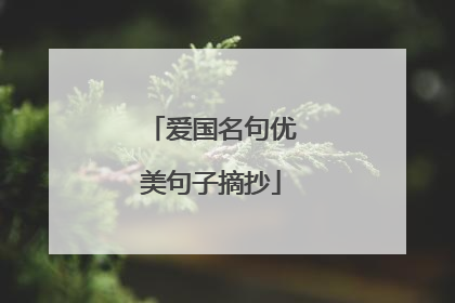 爱国名句优美句子摘抄