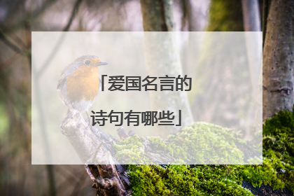 爱国名言的诗句有哪些