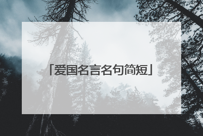 爱国名言名句简短