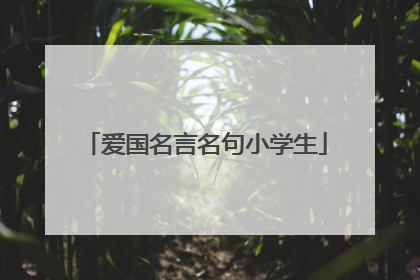 爱国名言名句小学生