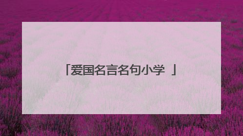 爱国名言名句小学ǔ