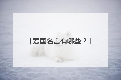 爱国名言有哪些?