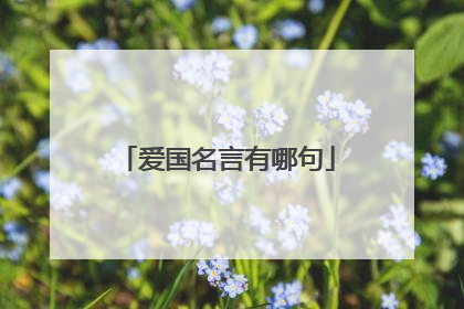 爱国名言有哪句