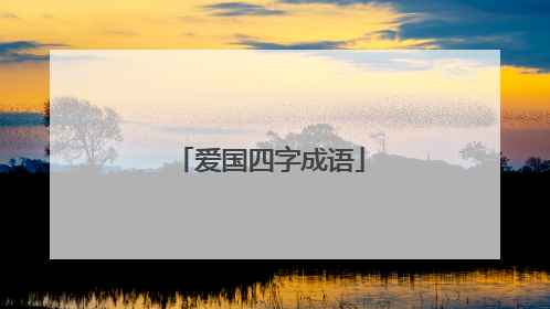 爱国四字成语