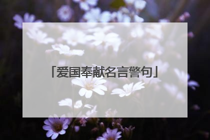 爱国奉献名言警句