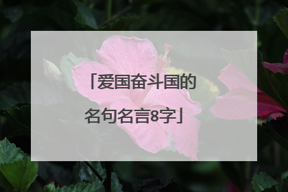 爱国奋斗国的名句名言8字