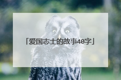 爱国志士的故事40字