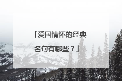 爱国情怀的经典名句有哪些？