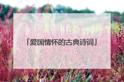 爱国情怀的古典诗词