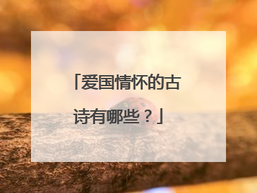 爱国情怀的古诗有哪些?