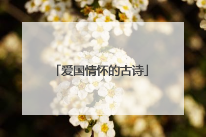 爱国情怀的古诗