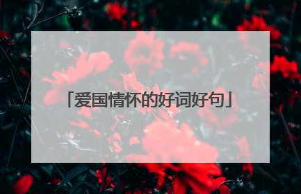 爱国情怀的好词好句