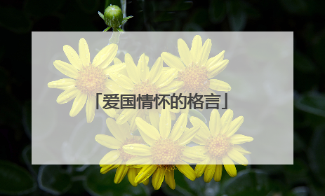 爱国情怀的格言