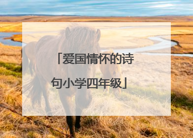 爱国情怀的诗句小学四年级
