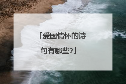 爱国情怀的诗句有哪些?