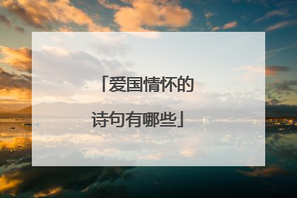 爱国情怀的诗句有哪些