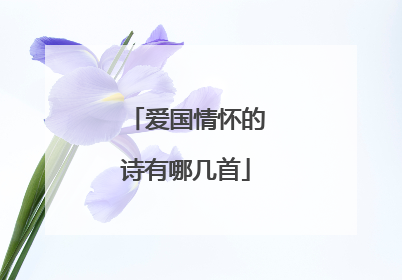 爱国情怀的诗有哪几首