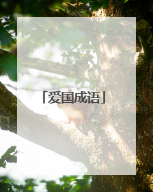 爱国成语