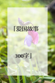 爱国故事300字