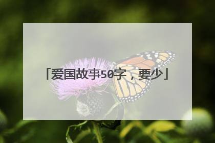 爱国故事50字,要少