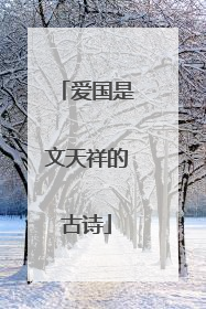 爱国是文天祥的古诗