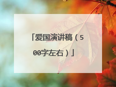 爱国演讲稿（500字左右）