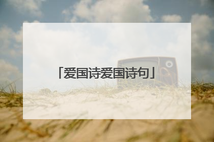 爱国诗爱国诗句