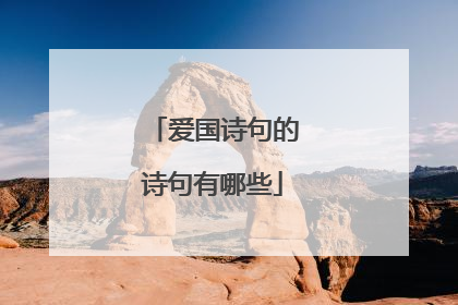 爱国诗句的诗句有哪些
