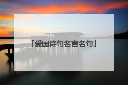 爱国诗句名言名句