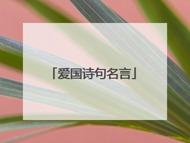 爱国诗句名言