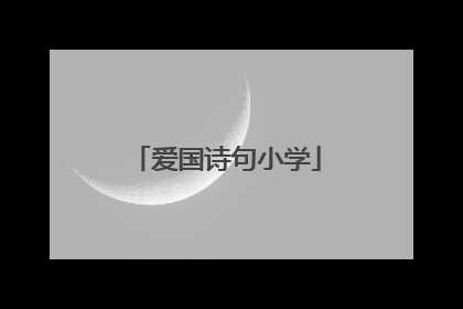 爱国诗句小学