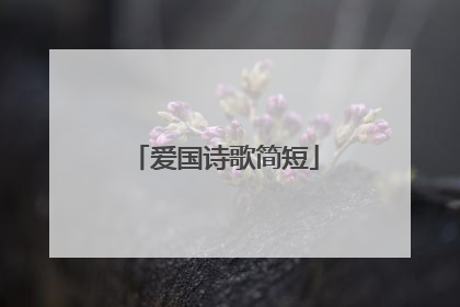 爱国诗歌简短