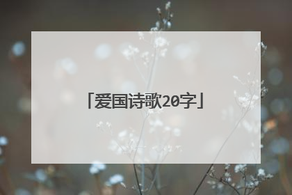 爱国诗歌20字